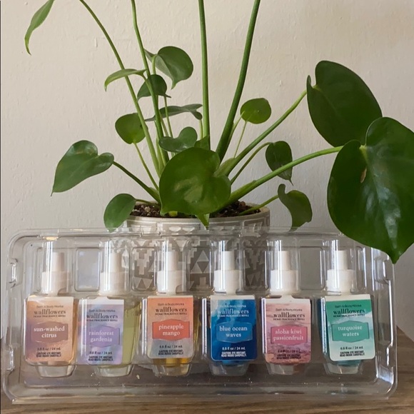 BBW 6 Wallflowers Refills Tropical Summer Beach